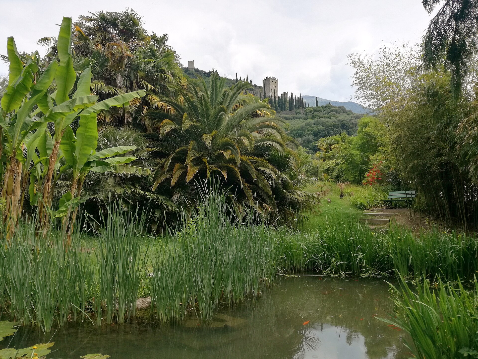 Pond, subtropical plants and Arco Castle in the Arboretum of Arco