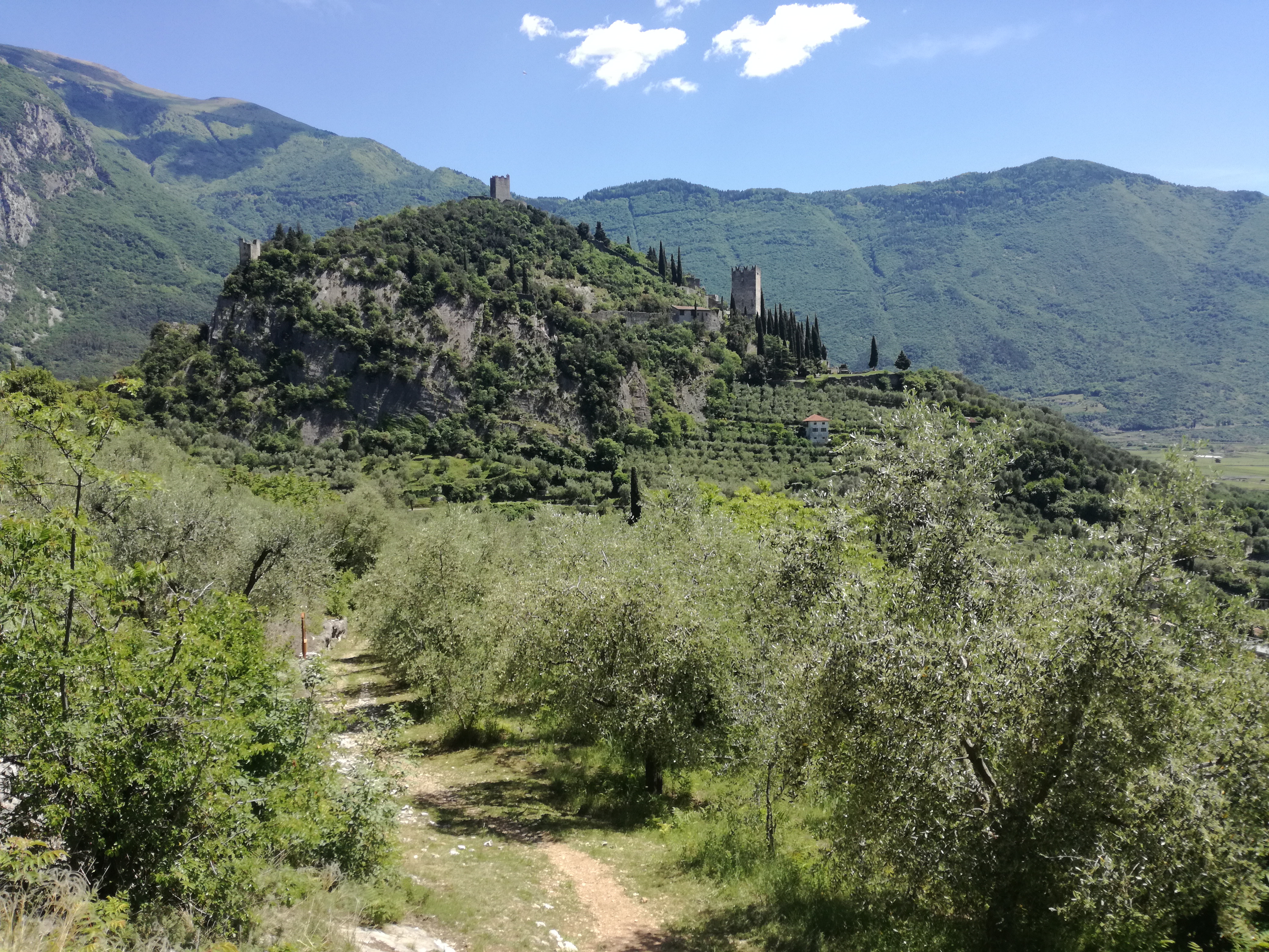 Olive groves and Arco Castle in the surrounding mountain landscape