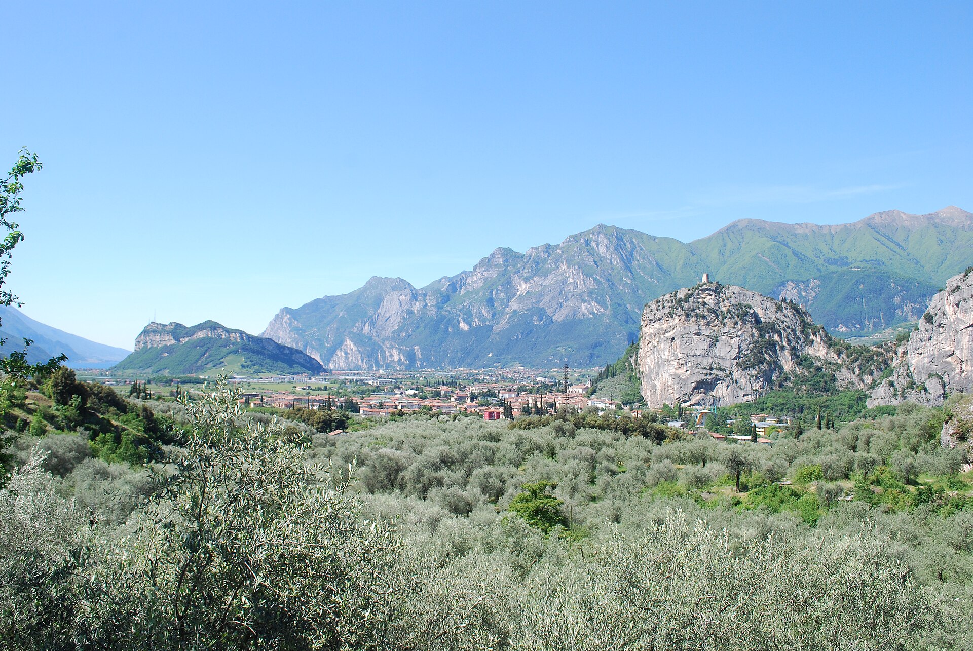 Arco, its castle rock and olive groves in the lower Sarca valley