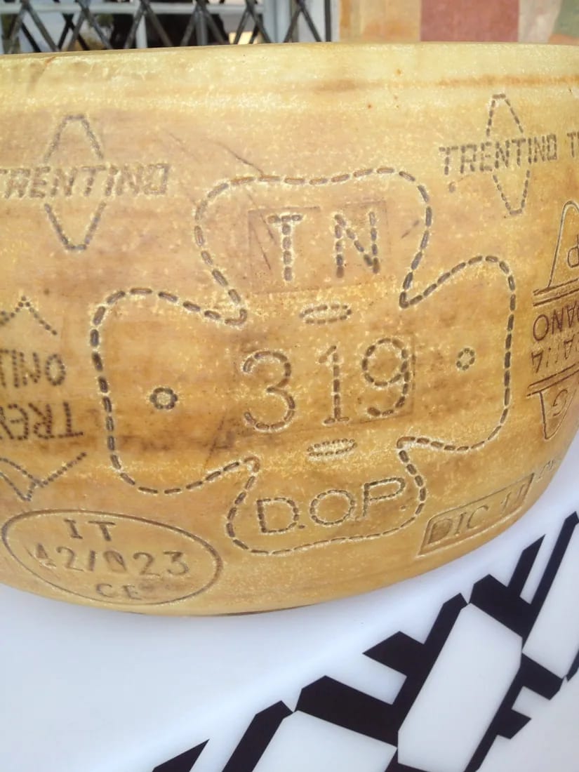 Trentingrana cheese, one of the local products to try in Trentino