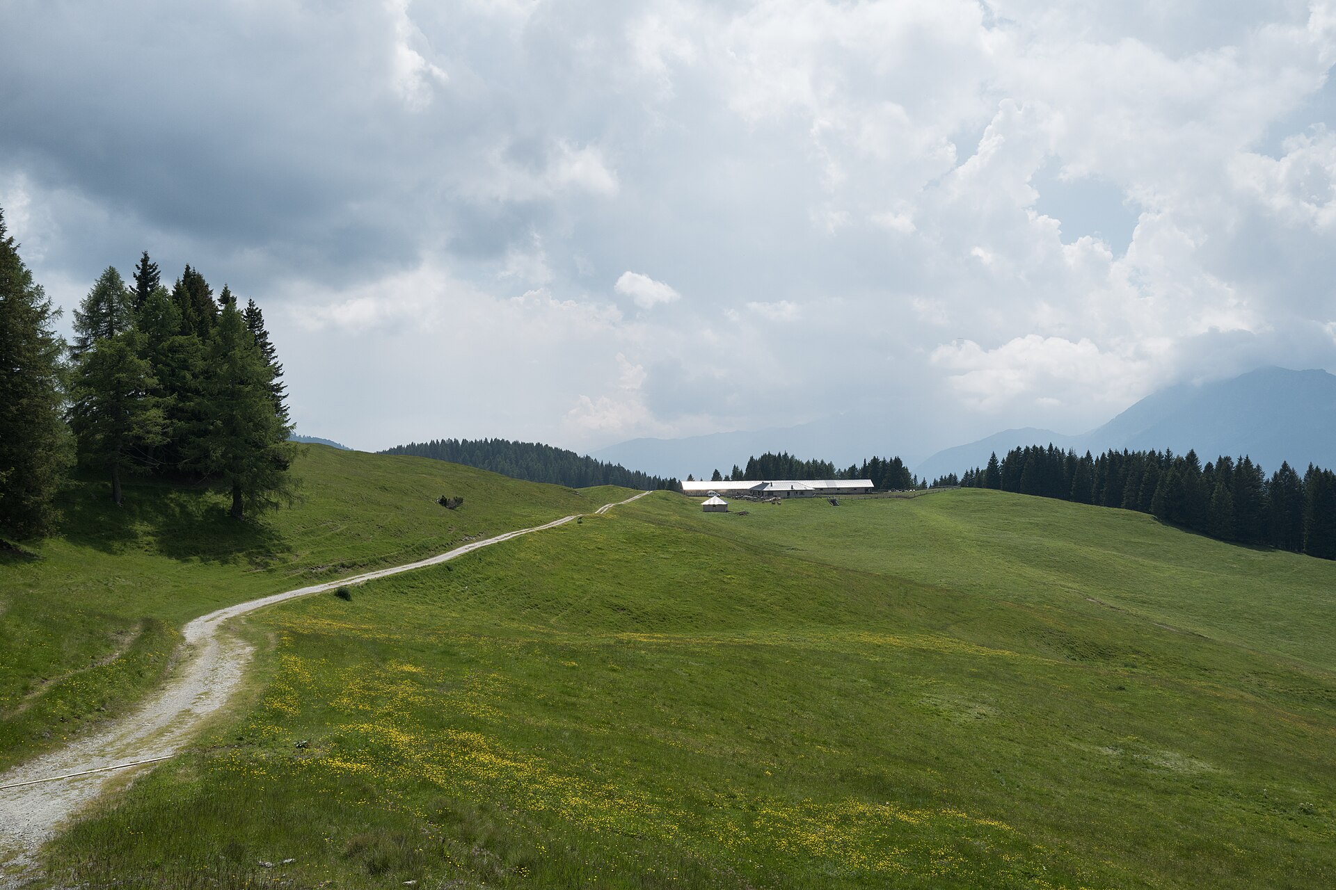 Wide gravel hiking trail crossing the green pastures near Malga Movlina